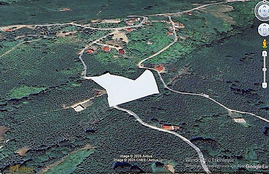 MABEL GAYRİMENKUL-ÇAMAŞ-ÇAVUŞBAŞI MAH.-SATILIK FINDIK BAHÇESİ